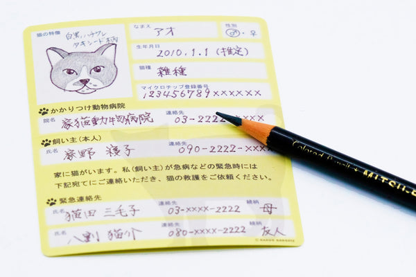 家に猫がいます 緊急情報カード クレジットカードサイズ 1枚入り