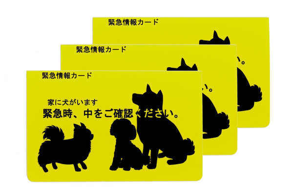 家に犬がいます 緊急情報カード クレジットカードサイズ 3枚セット
