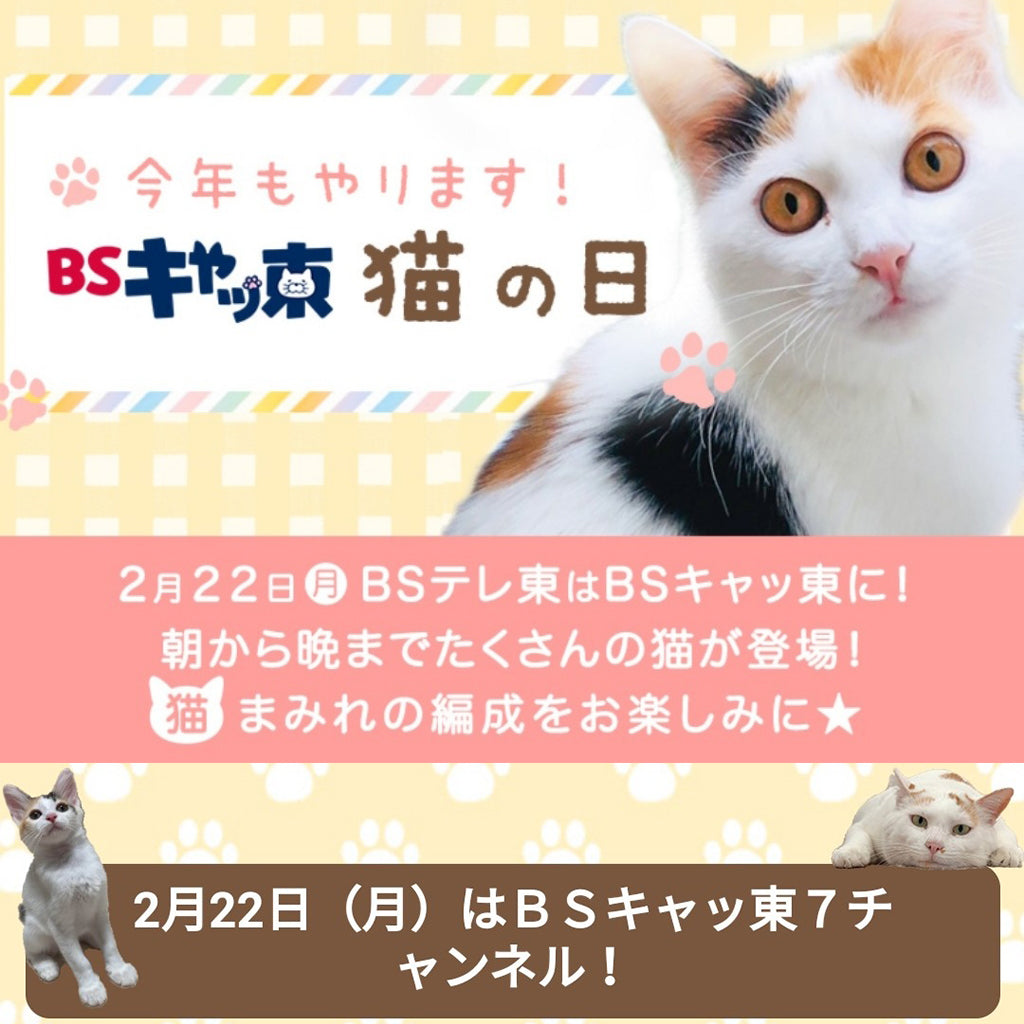 明日2月22日は猫の日 ！BSテレ東さんのチャリティ企画ご案内