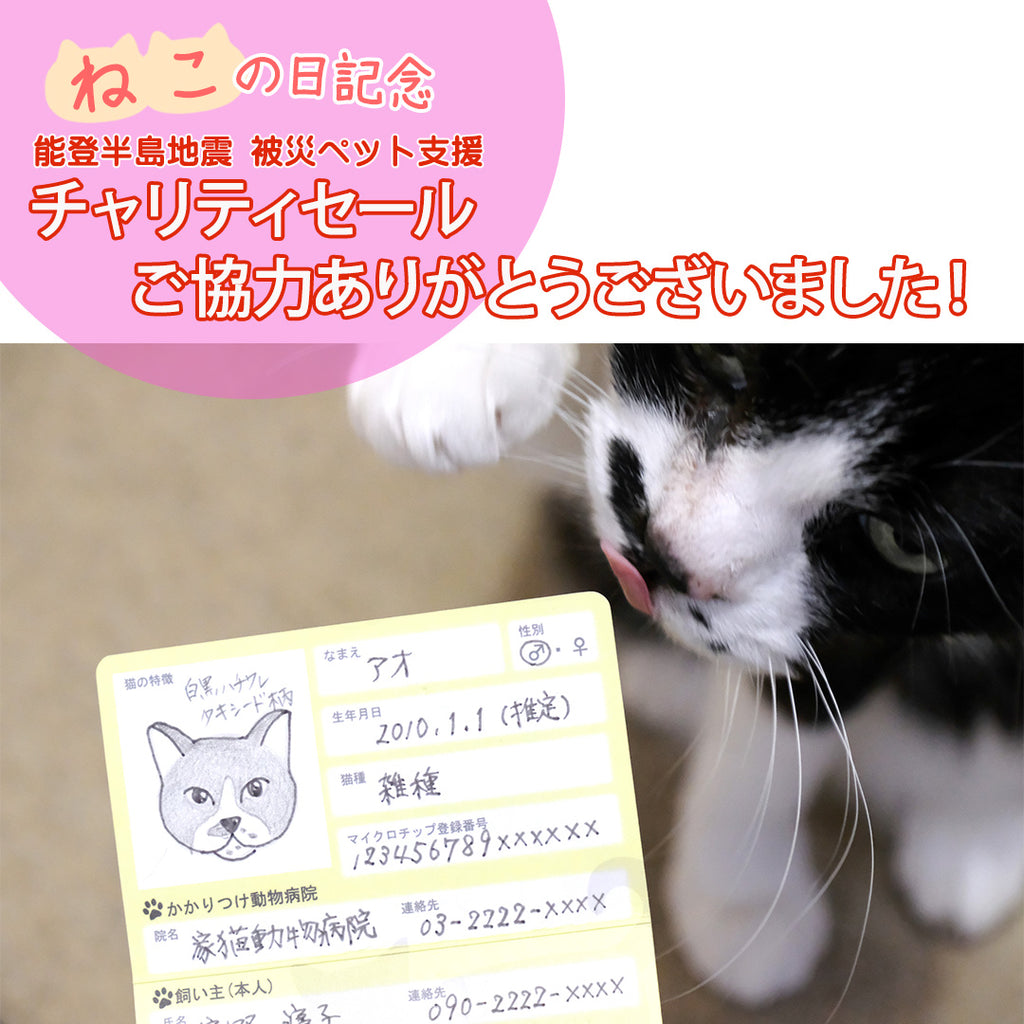 【猫の日記念】チャリティセール 寄付のご報告