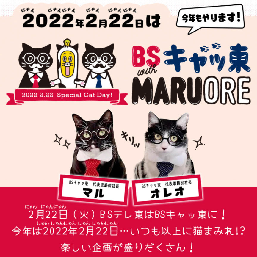 明日 2022年2月22日 はスーパー猫の日！BSキャッ東さんのチャリティ企画
