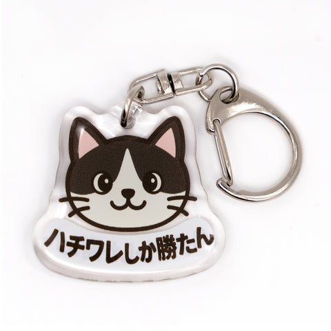 推しネコ ハチワレしか勝たん キーホルダー 3.5cm
