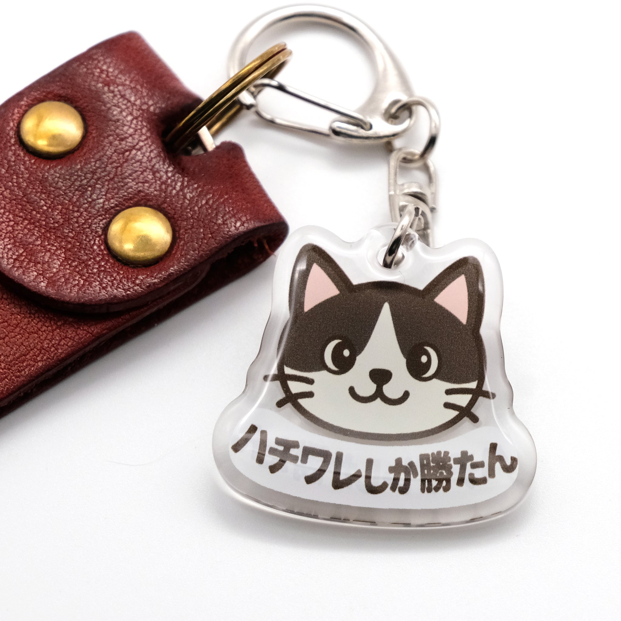 kakuo gadgets オンラインストア 推しネコ ハチワレしか勝たん