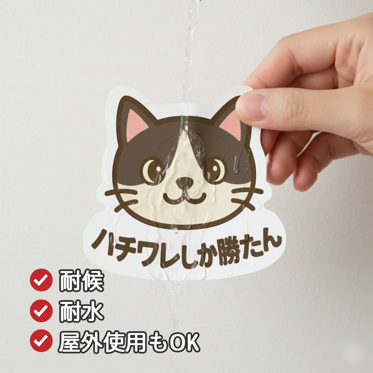 ハチワレ推しに決まってる お気に入りひとりごつファイル #ハチワレ推し #ハチワレ推しと繋がり