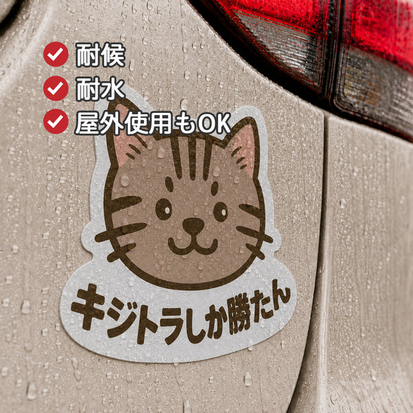 推しネコ キジトラしか勝たん マグネットステッカー 耐候 耐水 9cm